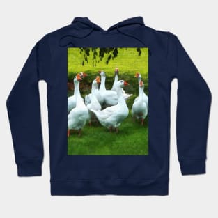 Birds - Gaggle of Geese Hoodie